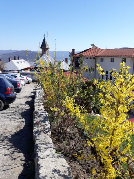  - 2019 -Excursie 23-24 martie