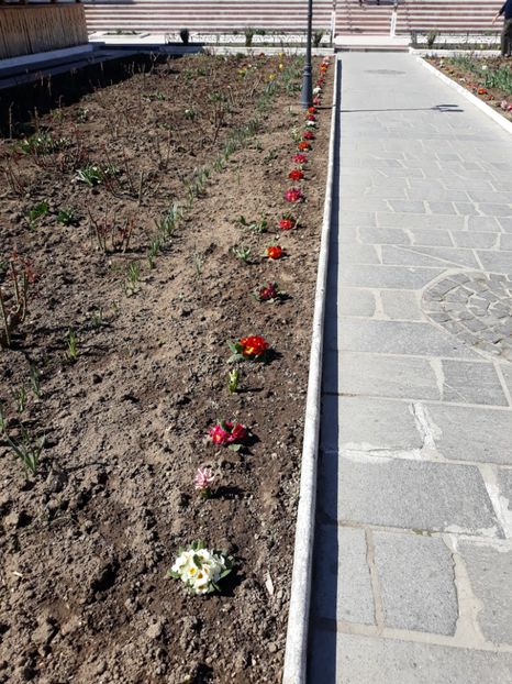  - 2019 -Excursie 23-24 martie