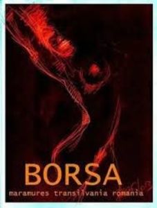 rock-club borsa maramures transilvania romania - FOSTUL SPITAL DE BOLI PSIHICE CRONICE ROCK CLUB BORSA MARAMURES resedinta privata