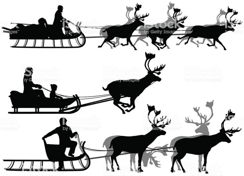 transport cu cerbul polar - FOSTUL SPITAL DE BOLI PSIHICE CRONICE ROCK CLUB BORSA MARAMURES resedinta privata