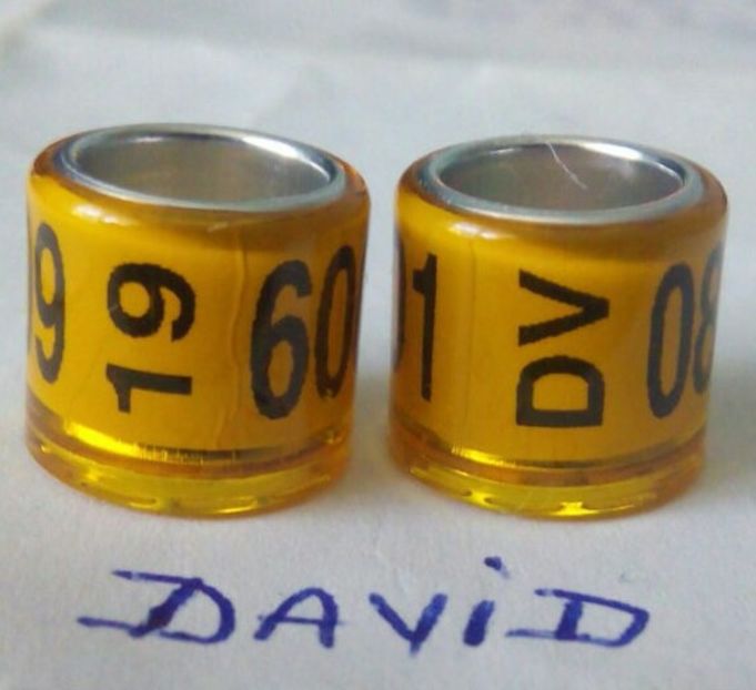 2019-DV-8mm fara talon....-1 leu - Inele porumbei 2019 de vanzare