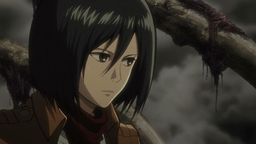  - Mikasa Ackerman