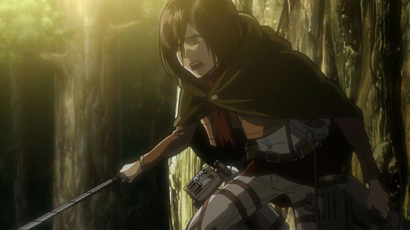  - Mikasa Ackerman
