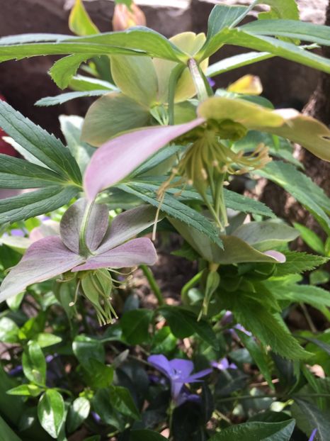 EB55B16C-9EE4-4C60-9D7F-56F097F0792B - Martie