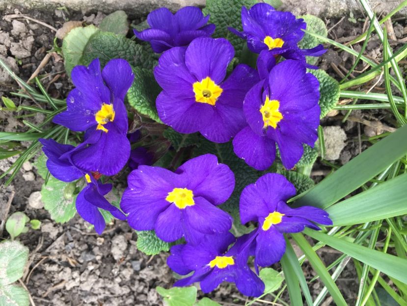 E2F9D46F-AE6F-455B-BA12-485D1898B452 - Martie