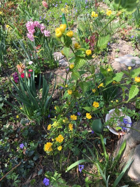 767D681C-D6A8-4311-BAD1-FE2A9B5BC03B - Martie