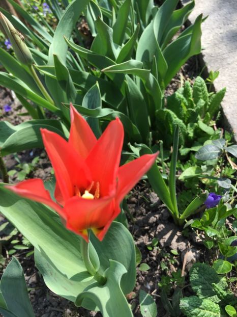 637DDE1B-4BD0-4CDA-8F18-7F616566B010 - Martie