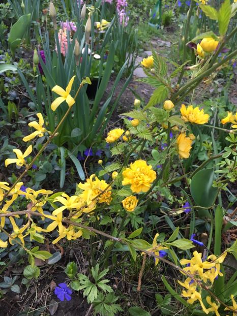 DB9BBD3B-B6EA-40EE-8BC2-7638963A5A55 - Martie