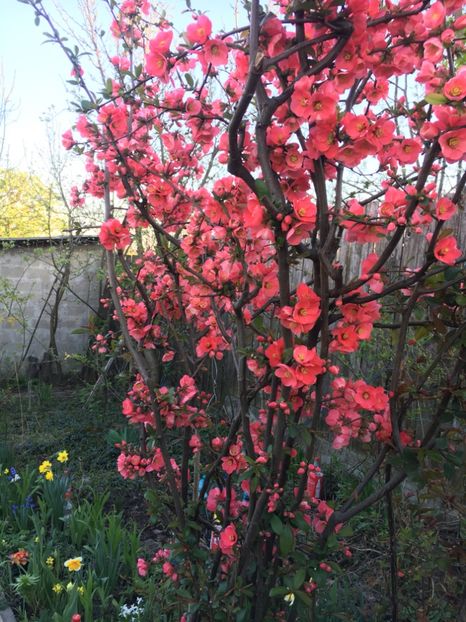 22B5625E-3B1B-41A1-947D-67923B701A65 - Martie