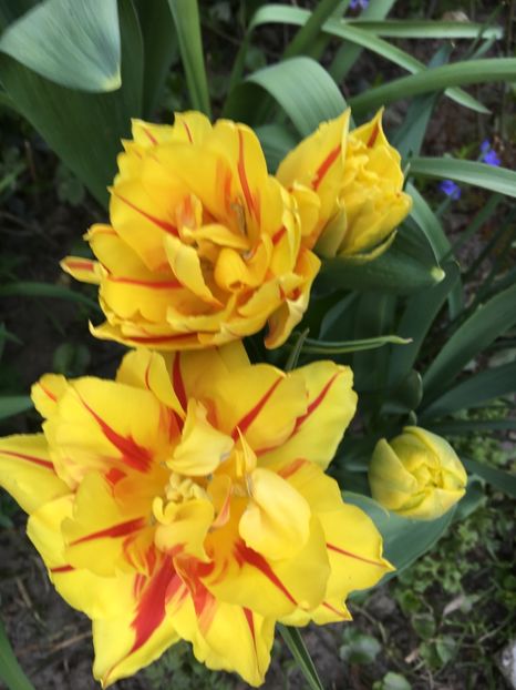 9ECC2C2A-A396-447A-843C-4D3632A53A4A - Martie