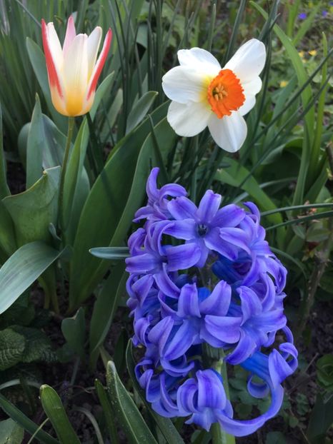 DAB0F825-4C69-42D8-8C65-42355CA4AAB7 - Martie