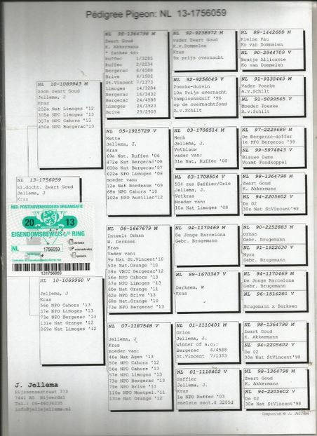 RO-15-031663-F-pedigree mama Fiica Isa Jelle Jellema - Perechea nr 1