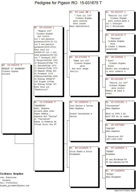 RO-15-031675-F-pedigree - Perechea nr 15