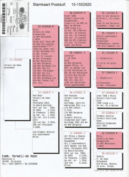 RO-17-301638-F-pedigree mama - Perechea nr 16