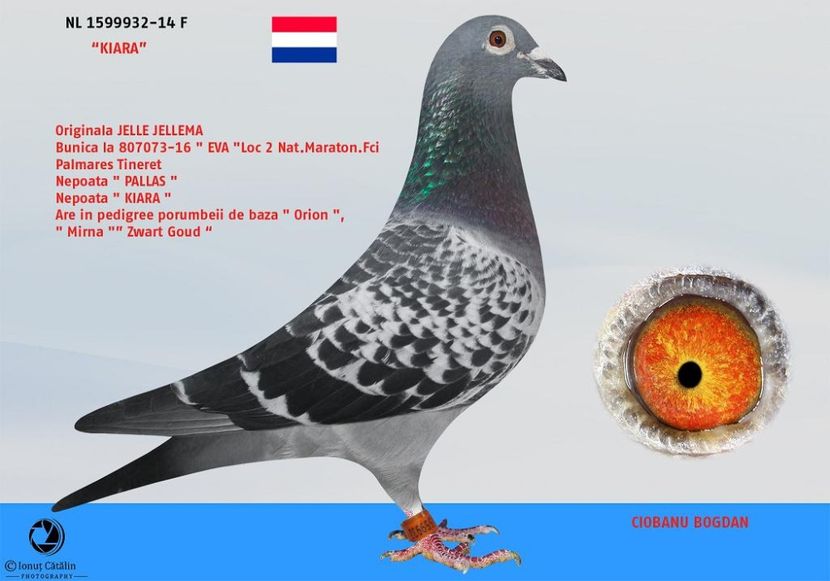 RO-15-4083074-M-foto mama Jelle Jelelma - Perechea nr 3