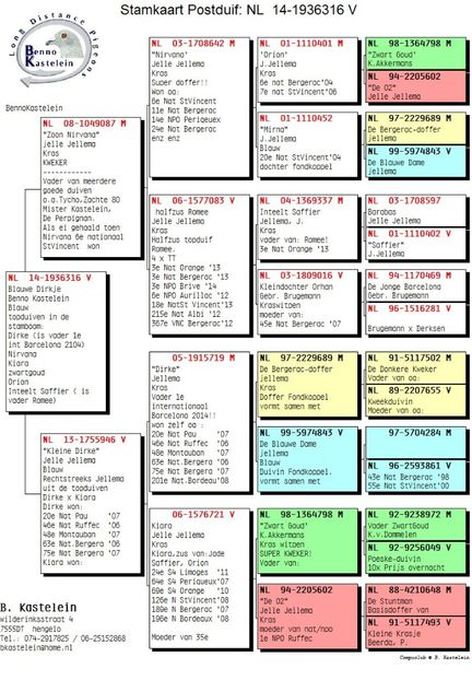 RO-16-807231-F-pedigree mama - Perechea nr 2