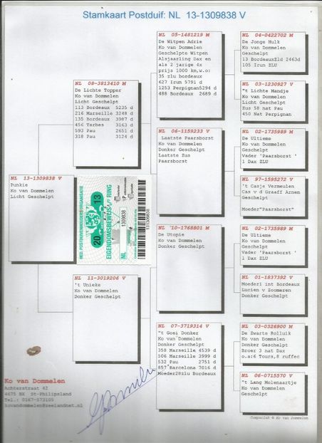 Ciobanu-Bogdan-MOTATA KO - Perechea nr 9