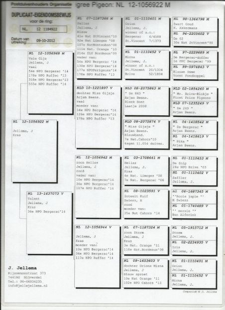 RO-15-031647-F-pedigree tata Jellema - Perechea nr 4