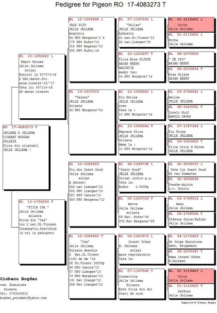 Fiica 922 X isa - Perechea nr 12