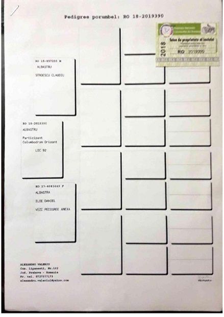 Columb-Orizont-RO-2019390-2018-pedigree - Perechea nr 17