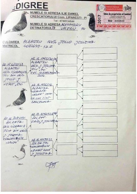 Columb-Orizont-RO-2019390-2018-pedigree-2 - Perechea nr 17