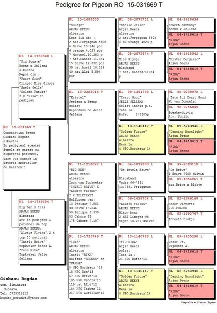 RO-031669-15-F-pedigree - Perechea nr 8
