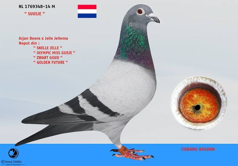 RO-15-031669-F-foto tata - Perechea nr 8