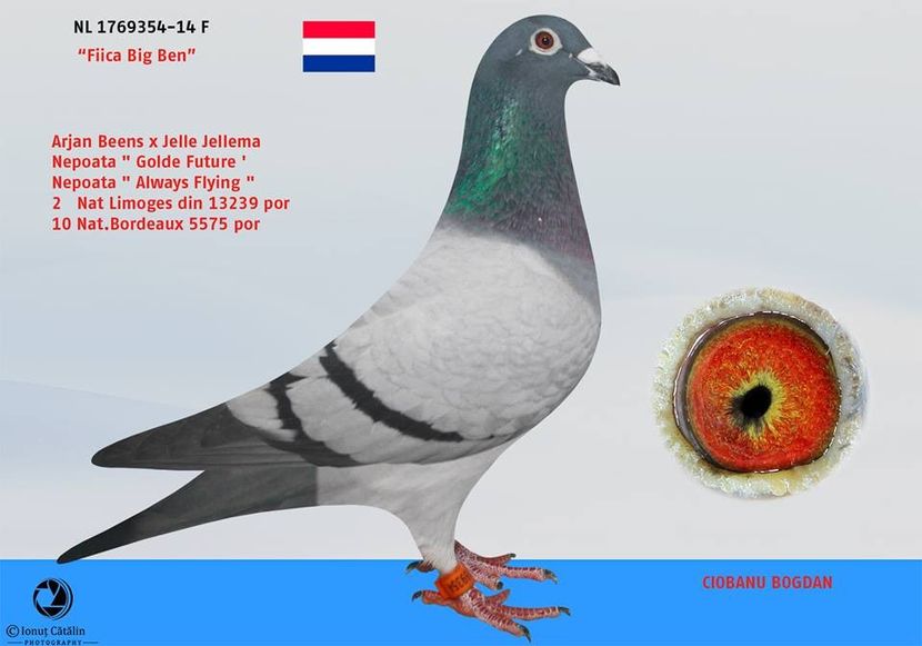 RO-15-031669-F-foto mama - Perechea nr 8