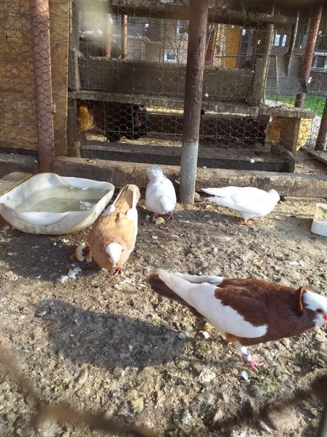  - Kamaromi 2015-2023