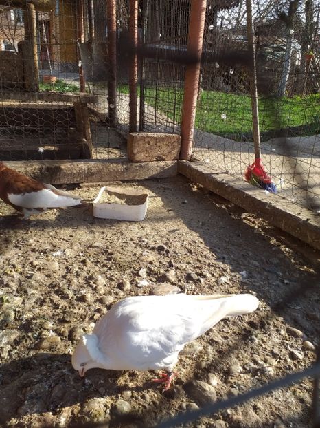  - Kamaromi 2015-2023