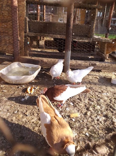  - Kamaromi 2015-2023