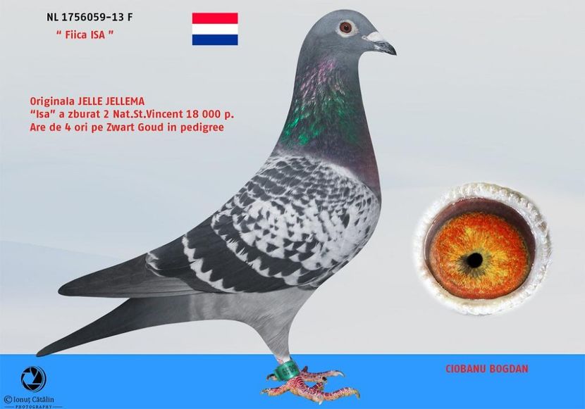 RO-17-4083353-M-foto mama - Perechea nr 19