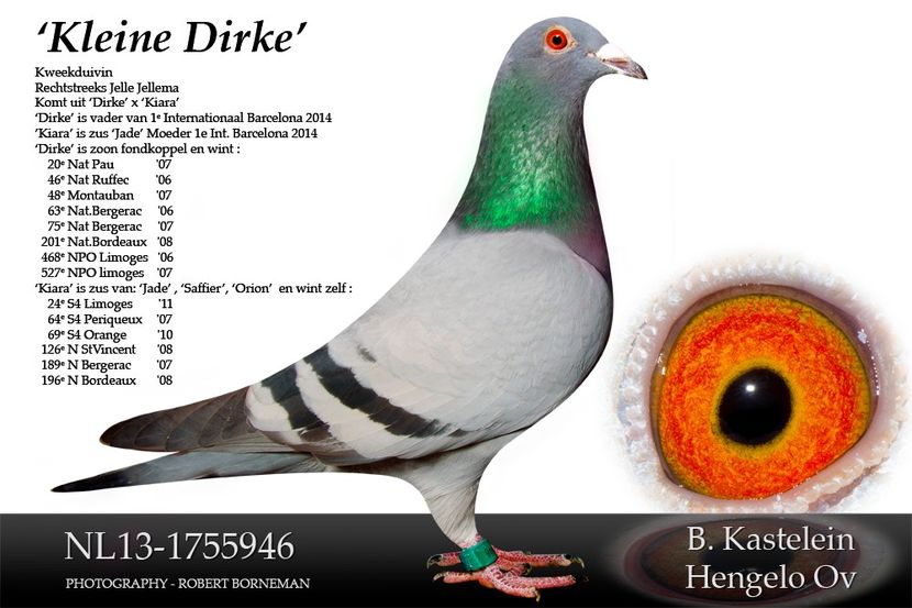 NL13-1755946Fkleine dirke - Perechea nr 21