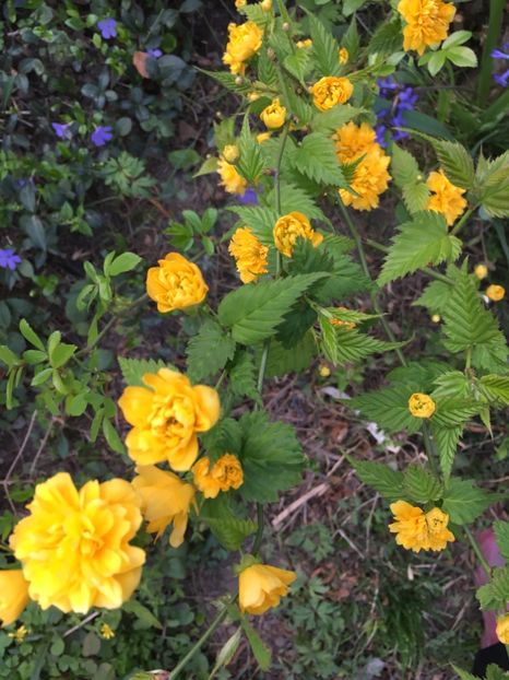 8B0BA5A0-07DD-49A7-AD32-6E7C03D8341C - Martie