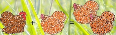 4E593393-F028-464F-93ED-B184288BAB34 - Metisari gaini