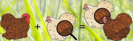 33D53E34-AEB2-4937-8D75-7589E08F18A9 - Metisari gaini