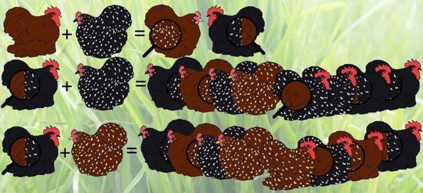 8FEB729B-7EA6-425F-9633-CDED6EB30C69 - Metisari gaini