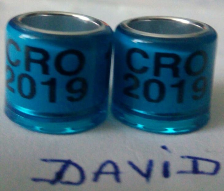 2019-CROATIA-8mm fara talon....-1 leu - Inele porumbei 2019 de vanzare