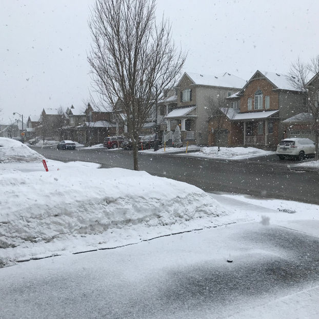  - Jurnalul gradinii 2019