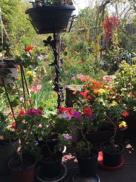 EC8EBF66-DD3C-4153-816D-9982A9D84AAD - Martie