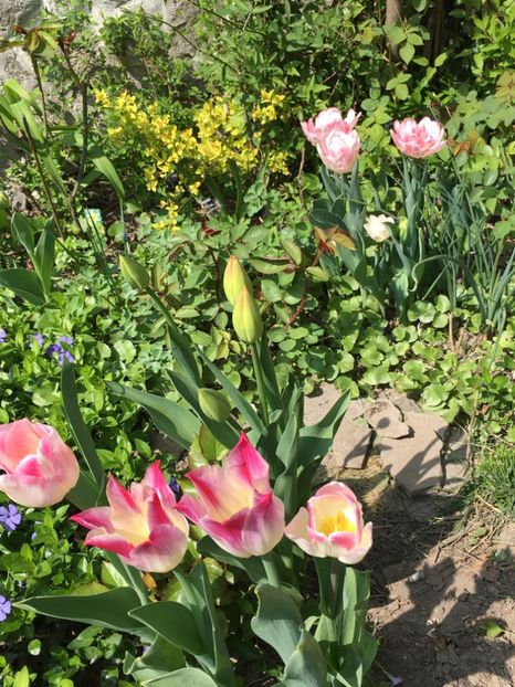 6CD8CD95-28FF-4D43-BBE8-3A922A72B4F8 - Martie