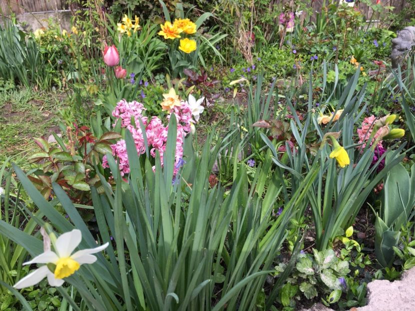 A57D5CB6-30CD-4CFA-825B-FC739F5E6C18 - Martie