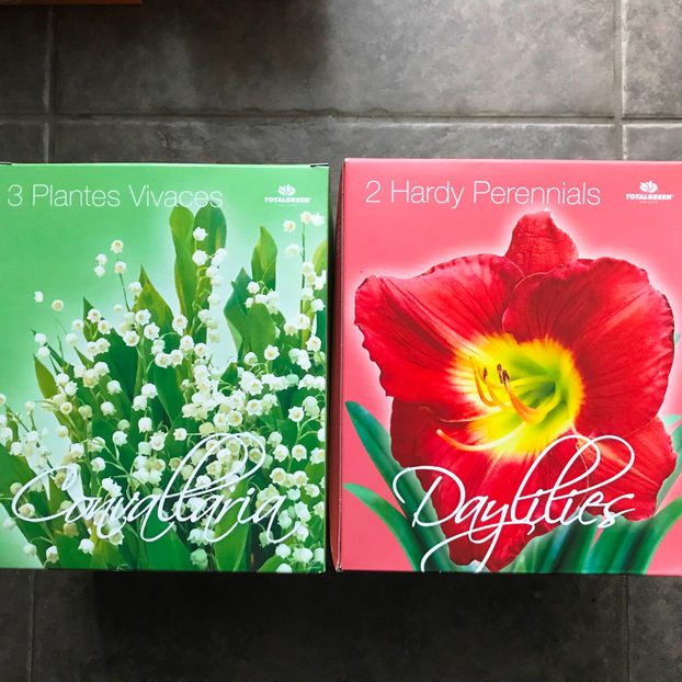  - Jurnalul gradinii 2019