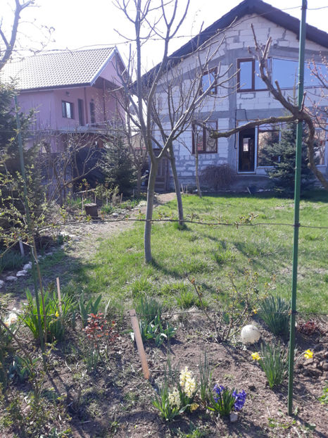  - Gradina primavara 2019