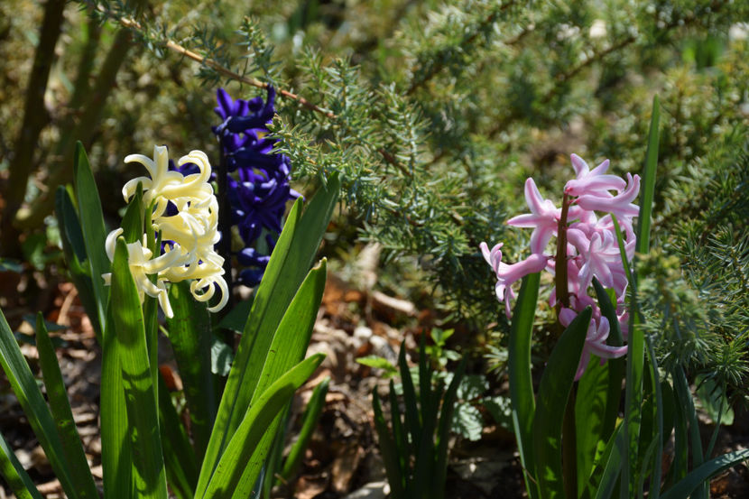 City of Harlem, Peter Stuyvest, Fondant - 2020 Zambile
