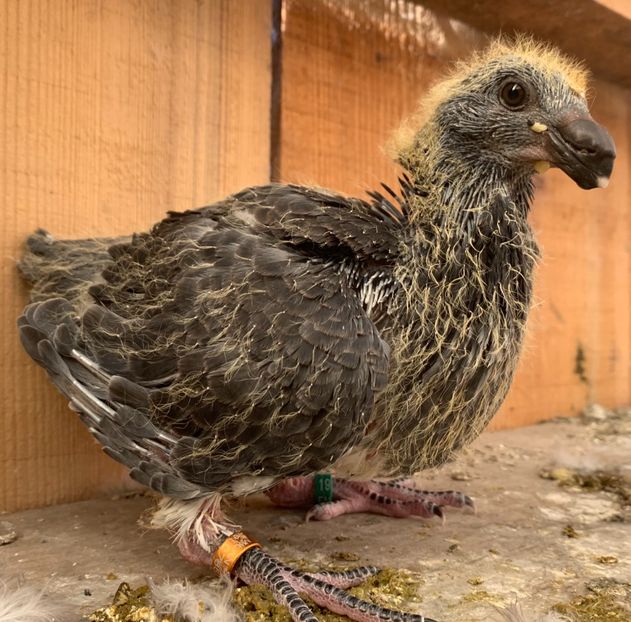 91E5F023-32F0-44C9-9A1B-05DC4FD2DD04 - Matca