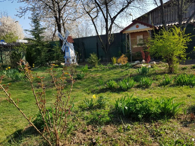 Foisorul cu bancuta facut din pergola patrata - 2019 Idilic garden