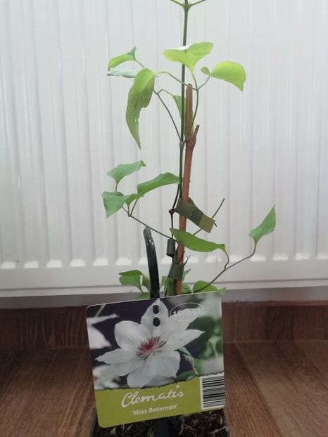 1.04-Lidl - Achizitii 2019