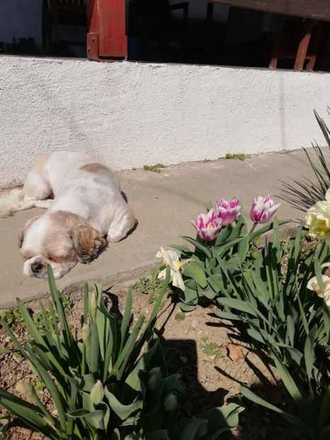 2019-1.04 - Comoara mea