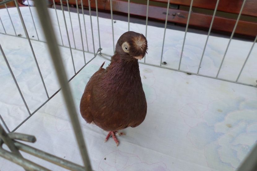 SAM_1398 - POZE 2019